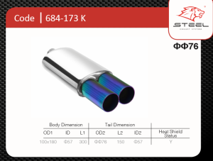 PERFORMANCE RUNDER DUAL-AUSLASS-AUSPUFF-FARBENDES SPITZE